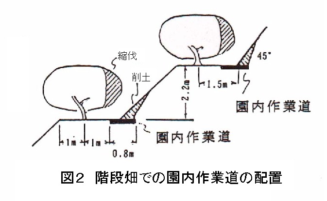 図2.階段畑での園内作業道の配置