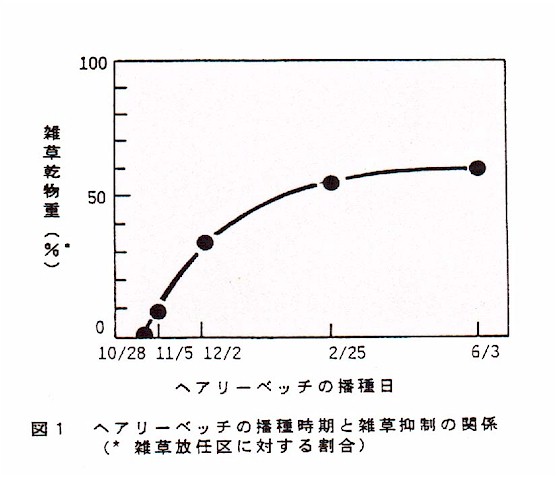 図1.ヘアリーベッチの播種時期と雑草抑制の関係