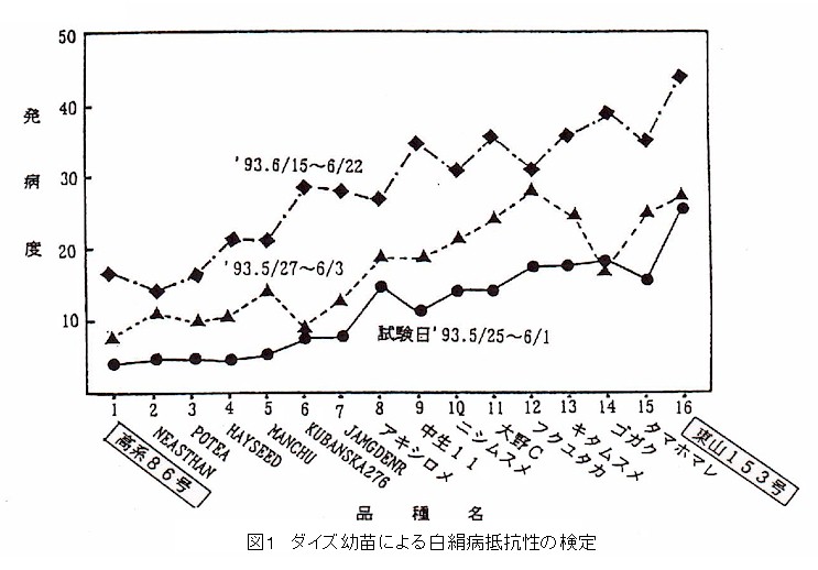 図1.ダイズ幼苗による白絹病抵抗性の検定