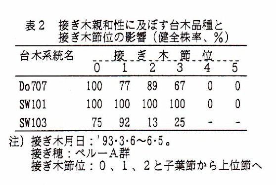 表2.接ぎ木親和性に及ぼす台木品種と接ぎ木節位の影響