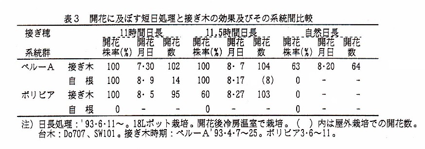 表3.開花に及ぼす短日処理と接ぎ木の効果及びその系統間比較