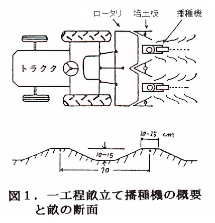 図1.一工程畝立播種機の概要と畝の断面