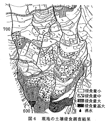 図4 現地の土壌浸食調査結果