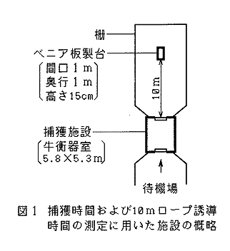 図1 補角時間および10mロープ誘導時間の測定に用いた施設の概略