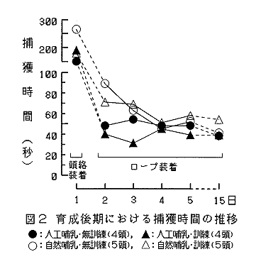 図2 育成後期における補角時間の推移