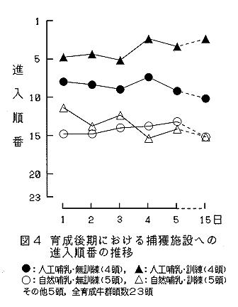 図4育成後期における捕獲施設への侵入順番の推移