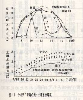 図1.シオデほ場の光・土壌水分環境