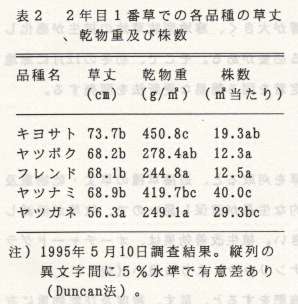 表2.2年目1番草での各品種の草丈、乾物重及び株数