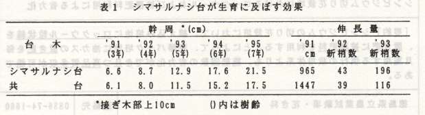 図1.シマサルナシ台が生育に及ぼす効果