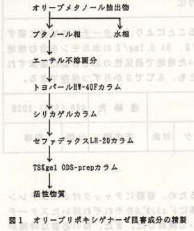 図1.オリーブリポキシゲナーゼ阻害成分の精製