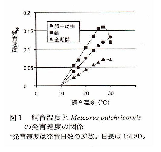 図1 飼育温度とMeteorus pulchricornisの発育速度の関係
