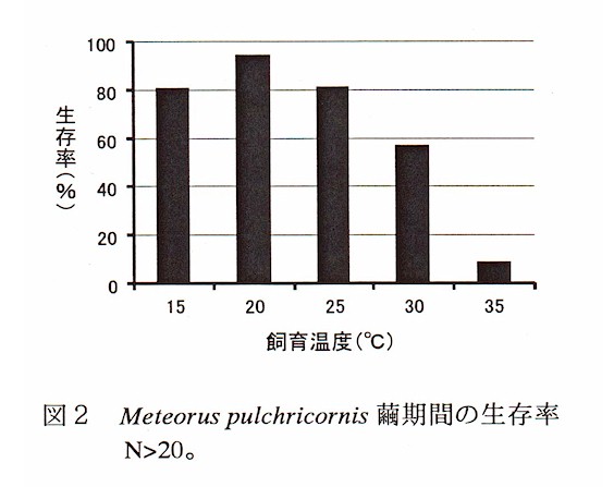 図2 Meteorus pulchricornis繭期間の生存率
