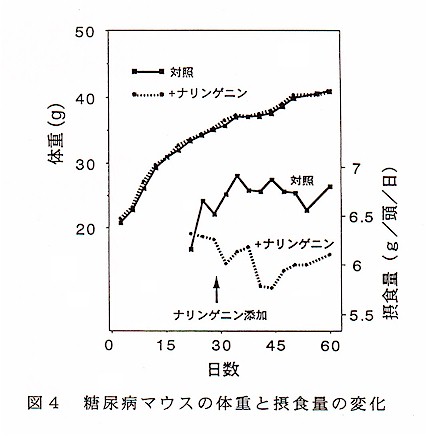 図4 糖尿病マウスの体重と摂食量の変化