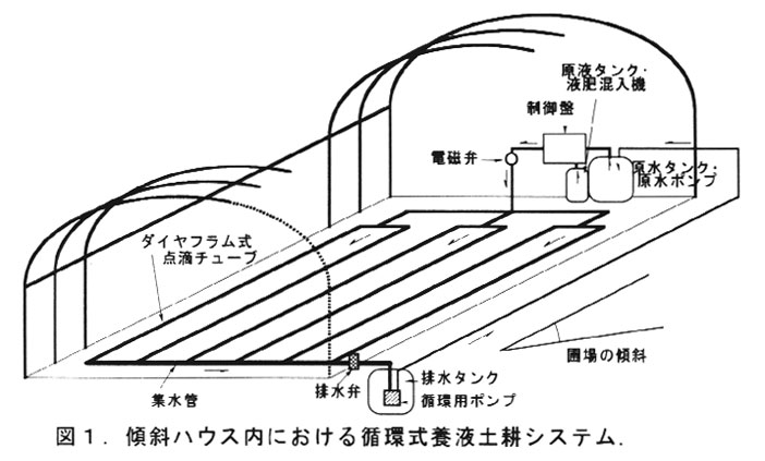 図1.傾斜ハウス内における循環式養液土耕システム.