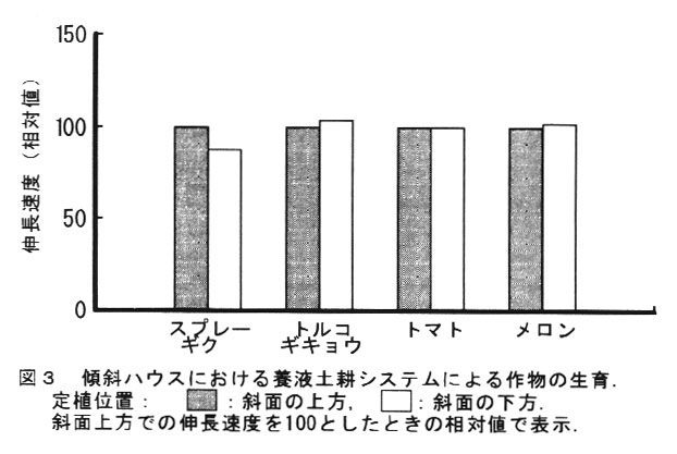 図3.傾斜ハウスにおける養液土耕システムによる作物の生育.