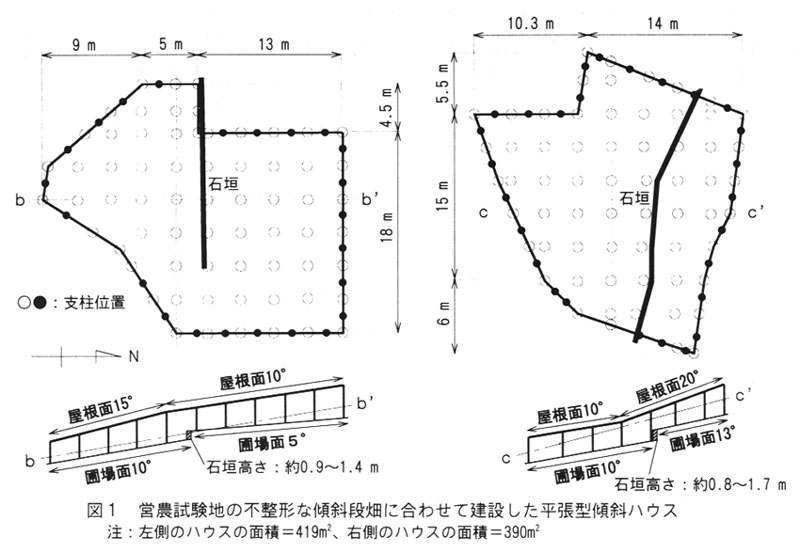 図1.営農試験地の不整形な傾斜段畑に会わせて建設した平張型傾斜ハウス