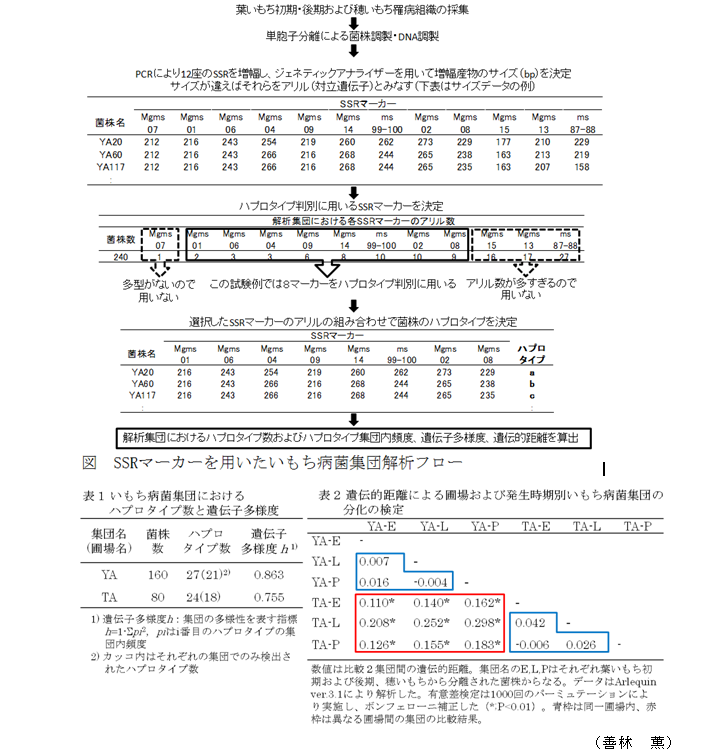 図、表1～2