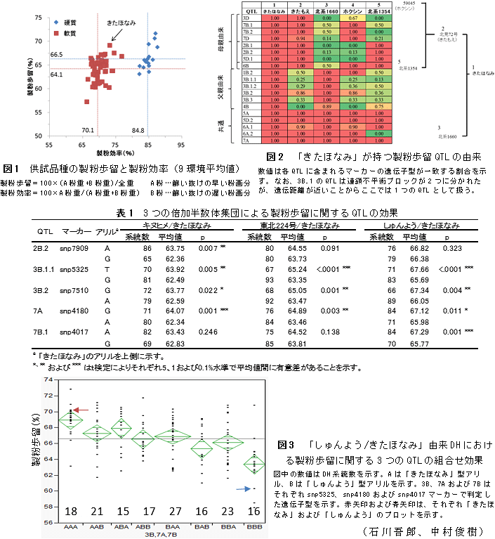 図1～3,表1