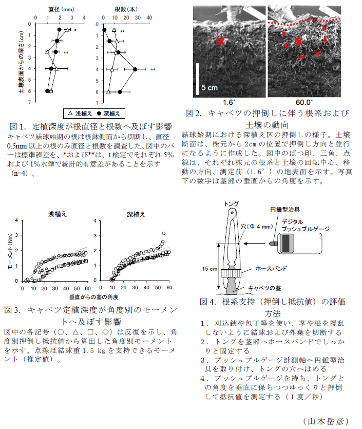 図1. 定植深度が根直径と根数へ及ぼす影響?図2. キャベツの押倒しに伴う根系および土壌の動向?図3. キャベツ定植深度が角度別のモーメントへ及ぼす影響?図4. 根系支持(押倒し抵抗値)の評価方法