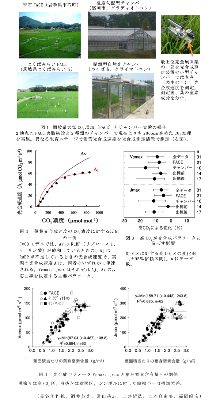 図1 開放系大気CO2増加(FACE)とチャンバー実験の様子?図2 個葉光合成速度のCO2濃度に対する反応の一例?図3 高CO2が光合成パラメータに及ぼす影響