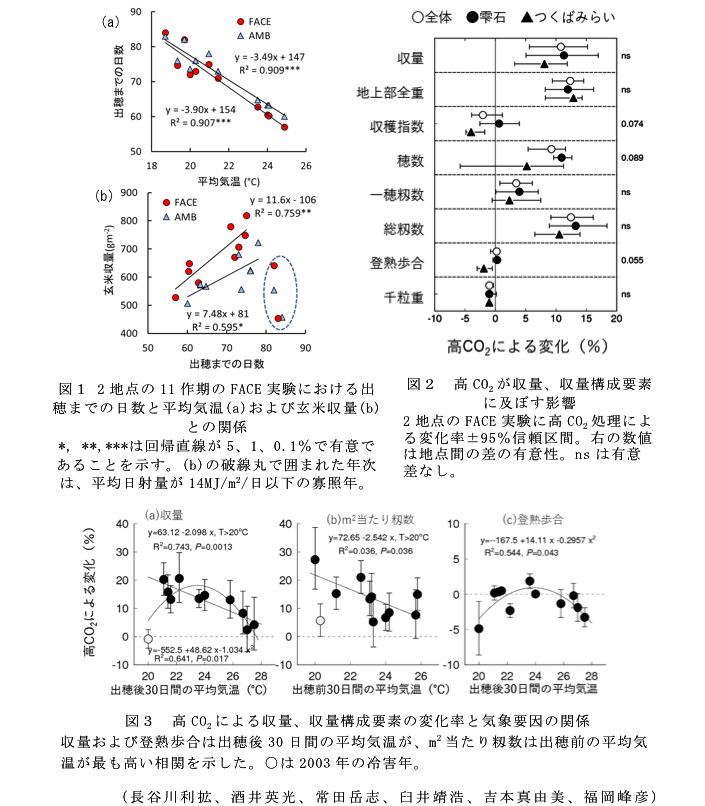 図1 2地点の11作期のFACE実験における出穂までの日数と平均気温(a)および玄米収量(b)との関係?図2 高CO2が収量、収量構成要素に及ぼす影響?図3 高CO2による収量、収量構成要素の変化率と気象要因の関係