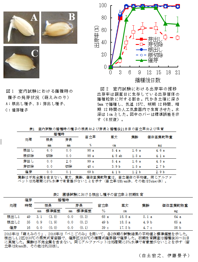 図1 室内試験における播種時の種子の発芽状況(萌えみのり);図2 室内試験における出芽率の推移;