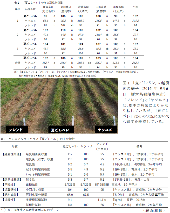 図1 「夏ごしペレ」の越夏後の様子