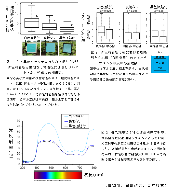 図1 白・黒のプラスティック板を貼り付けた青色粘着板と裏地なし粘着板によるヒメハナカメムシ類成虫の捕獲数;図2 青色粘着板3種における周縁部と中心部(右図参照)のヒメハナカメムシ類成虫の捕獲数;図3 青色粘着板3種の波長別光反射率