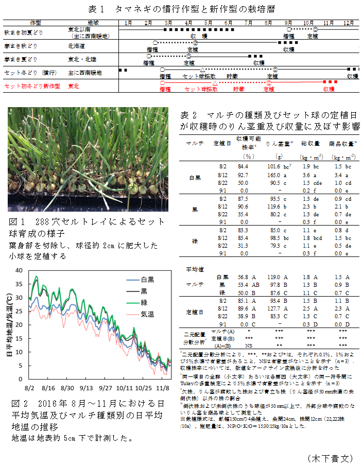 表1 タマネギの慣行作型と新作型の栽培暦,表2 マルチの種類及びセット球の定植日が収穫時のりん茎重及び収量に及ぼす影響,図1 288穴セルトレイによるセット球育成の様子,図2 2016年8月～11月における日平均気温及びマルチ種類別の日平均地温の推移