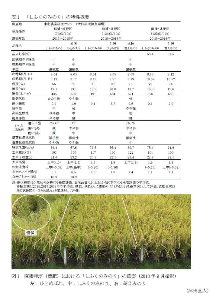 表1 「しふくのみのり」の特性概要,図1 直播栽培(標肥)における「しふくのみのり」の草姿
