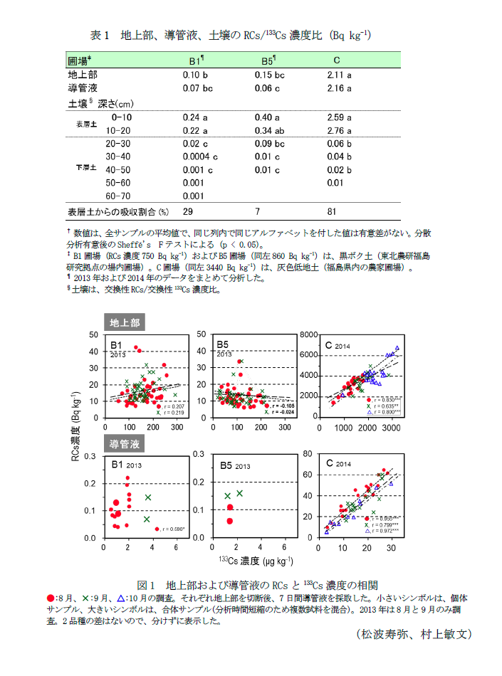 表1 地上部、導管液、土壌のRCs/133Cs濃度比,図1 地上部および導管液のRCsと133Cs濃度の相関