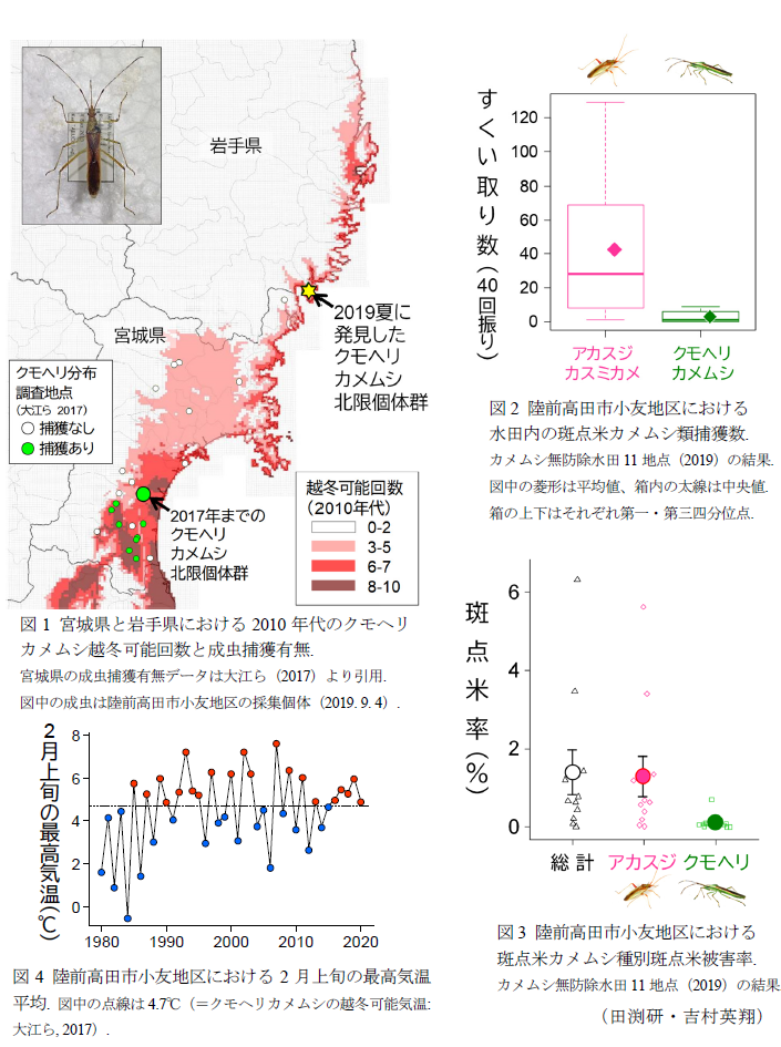 図1 宮城県と岩手県における2010年代のクモヘリカメムシ越冬可能回数と成虫捕獲有無.,図2 陸前高田市小友地区における水田内の斑点米カメムシ類捕獲数.,図3 陸前高田市小友地区における斑点米カメムシ種別斑点米被害率.,図4 陸前高田市小友地区における2月上旬の最高気温平均.