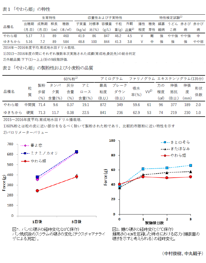 表1「やわら姫」の特性,表2「やわら姫」の製粉性および小麦粉の品質,図1.パンの硬さの経時変化(20°C保存),図2.麺の硬さの経時変化(7°C保存)