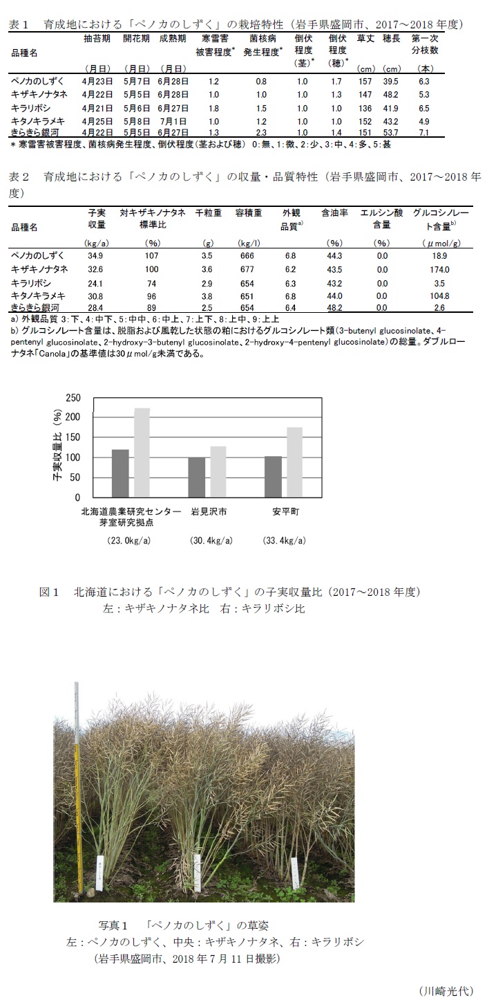 表1 育成地における「ペノカのしずく」の栽培特性(岩手県盛岡市、2017～2018年度),表2 育成地における「ペノカのしずく」の収量・品質特性(岩手県盛岡市、2017～2018年度),図1 北海道における「ペノカのしずく」の子実収量比(2017～2018年度),写真1 「ペノカのしずく」の草姿