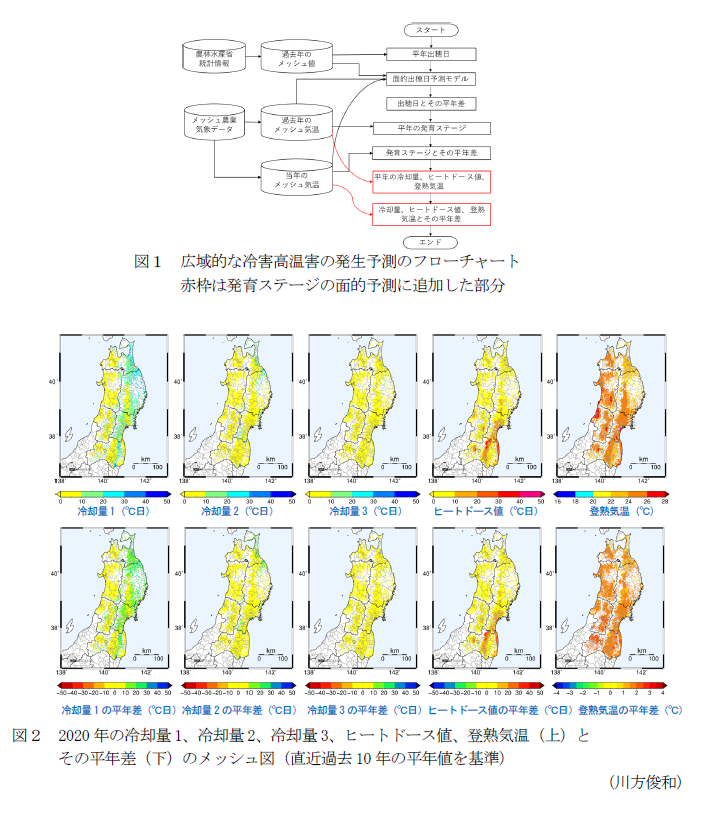 図1 広域的な冷害高温害の発生予測のフローチャート 赤枠は発育ステージの面的予測に追加した部分,図2 2020年の冷却量1、冷却量2、冷却量3、ヒートドース値、登熟気温(上)とその平年差(下)のメッシュ図(直近過去10年の平年値を基準)