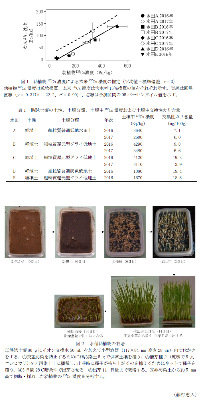 図1 幼植物137Cs濃度による玄米137Cs濃度の推定(平均値±標準偏差、n=3),表1 供試土壌の土性、土壌分類、土壌中137Cs濃度および土壌中交換性カリ含量,図2 水稲幼植物の栽培