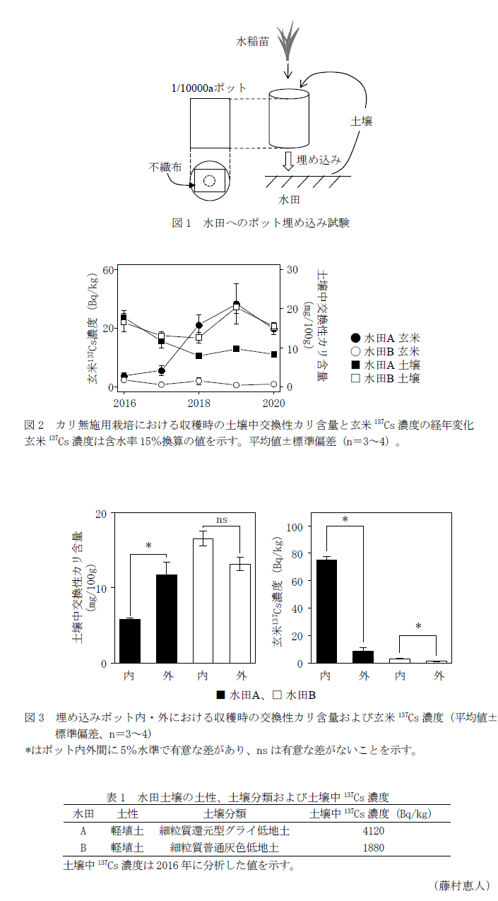 図1 水田へのポット埋め込み試験,図2 カリ無施用栽培における収穫時の土壌中交換性カリ含量と玄米137Cs濃度の経年変化,図3 埋め込みポット内・外における収穫時の交換性カリ含量および玄米137Cs濃度(平均値±標準偏差、n=3～4),表1 水田土壌の土性、土壌分類および土壌中137Cs濃度