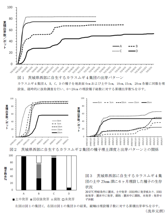 図1 茨城県西部に自生するカラスムギ4集団の出芽パターン,図2 茨城県西部に自生するカラスムギ2集団の種子埋土深度と出芽パターンとの関係,図3 茨城県西部に自生するカラスムギ4集団の土中25cm深に6ヶ月埋設した種子の生存状況