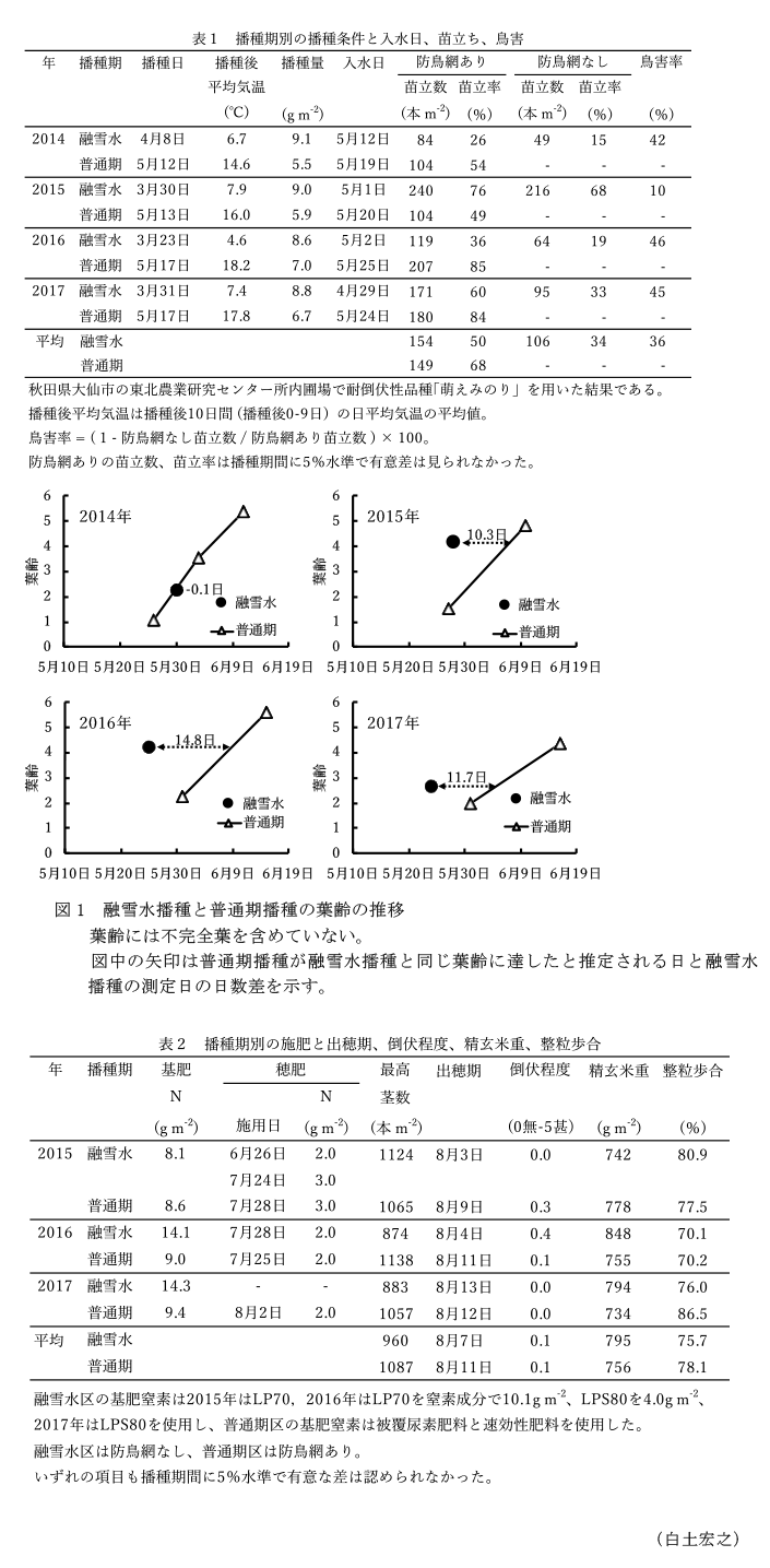 表1 播種期別の播種条件と入水日、苗立ち、鳥害,図1 融雪水播種と普通期播種の葉齢の推移,表2 播種期別の施肥と出穂期、倒伏程度、精玄米重、整粒歩合