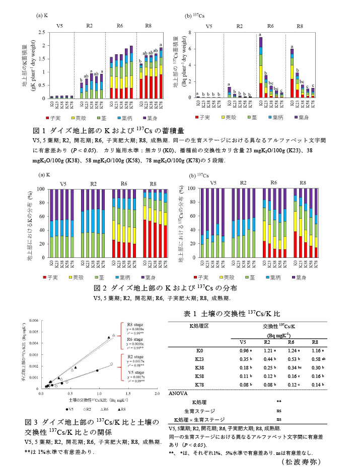 図1 ダイズ地上部のKおよび137Csの蓄積量,図2 ダイズ地上部のKおよび137Csの分布,図3 ダイズ地上部の137Cs/K比と土壌の交換性137Cs/K比との関係,表1 土壌の交換性137Cs/K比