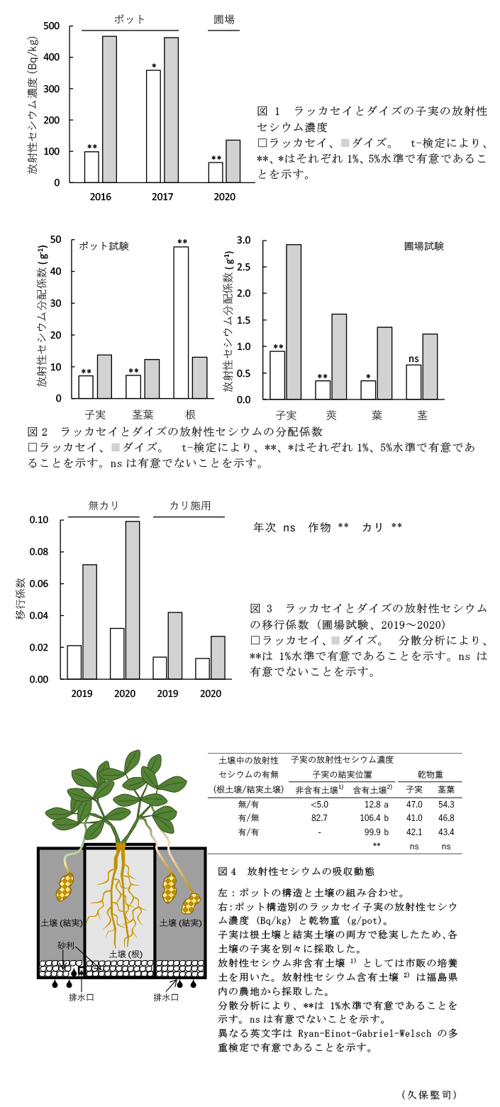 図1 ラッカセイとダイズの子実の放射性セシウム濃度,図2 ラッカセイとダイズの放射性セシウムの分配係数,図3 ラッカセイとダイズの放射性セシウムの移行係数 (圃場試験、2019～2020),図4 放射性セシウムの吸収動態