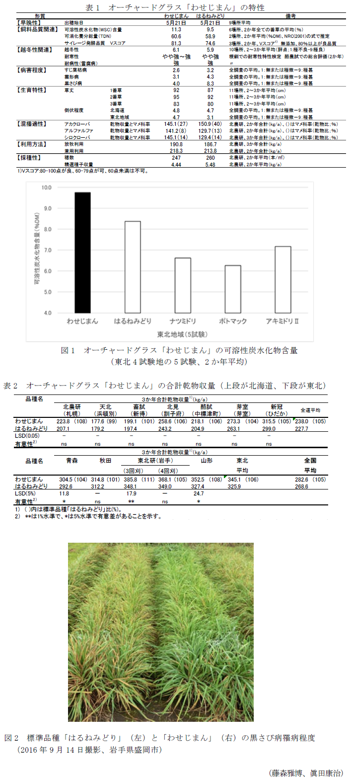 表1 オーチャードグラス「わせじまん」の特性,図1 オーチャードグラス「わせじまん」の可溶性炭水化物含量,表2 オーチャードグラス「わせじまん」の合計乾物収量(上段が北海道、下段が東北),図2 標準品種「はるねみどり」(左)と「わせじまん」(右)の黒さび病罹病程度