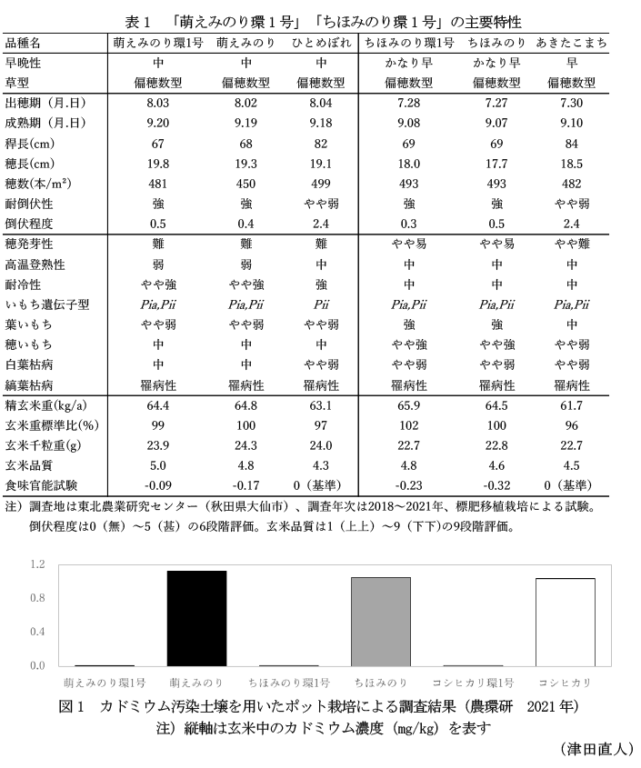 表1 「萌えみのり環1号」「ちほみのり環1号」の主要特性,図1 カドミウム汚染土壌を用いたポット栽培による調査結果(農環研 2021年)