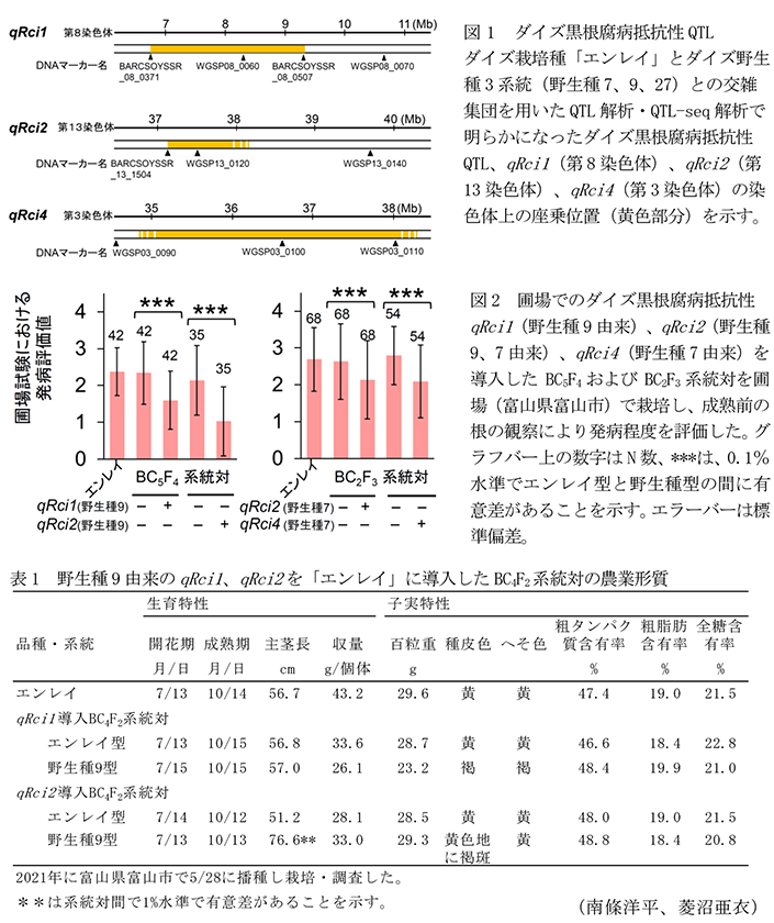 図1 ダイズ黒根腐病抵抗性QTL,図2 圃場でのダイズ黒根腐病抵抗性,表1 野生種9由来のqRci1、qRci2を「エンレイ」に導入したBC4F2系統対の農業形質