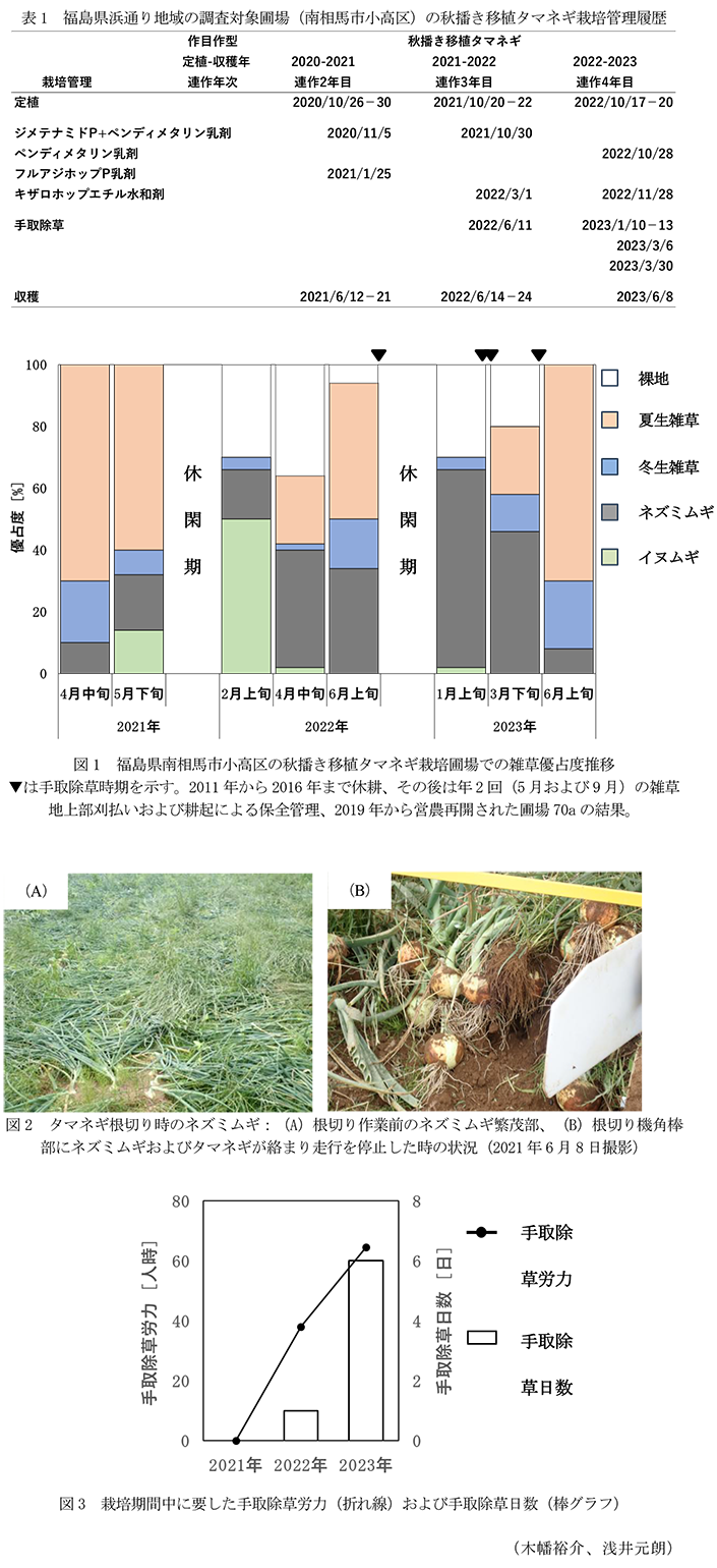 表1 福島県浜通り地域の調査対象圃場(南相馬市小高区)の秋播き移植タマネギ栽培管理履歴,図1 福島県南相馬市小高区の秋播き移植タマネギ栽培圃場での雑草優占度推移,図2 タマネギ根切り時のネズミムギ,図3 栽培期間中に要した手取除草労力(折れ線)および手取除草日数(棒グラフ)