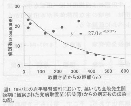 図1.1997年の岩手県紫波町において、葉いもち全般発生開始期に観察された発病取置苗(伝染源)からの病斑数の伝染勾配。