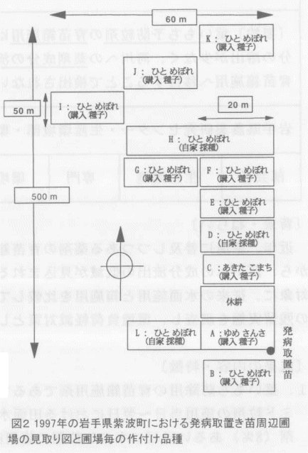 図2.1997年の岩手県紫波町における発病取置苗周辺圃場の見取り図と圃場毎の作付け品種