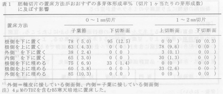 表1.胚軸切片の置床方法がおおすずの多芽体形成率%(切片1ヶあたりの芽形成数に及ぼす影響