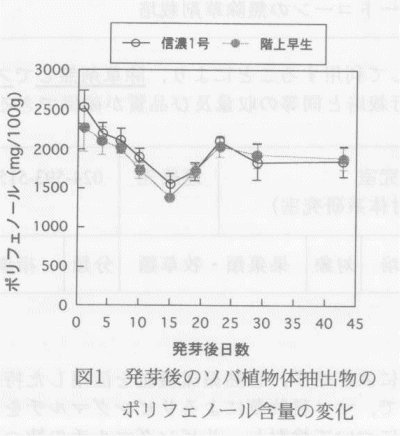 図1.発芽後のソバ植物体抽出物のポリフェノール含量の変化