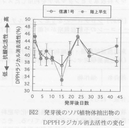 図2.発芽後のソバ植物体抽出物のDPPHラジカル消去活性の変化